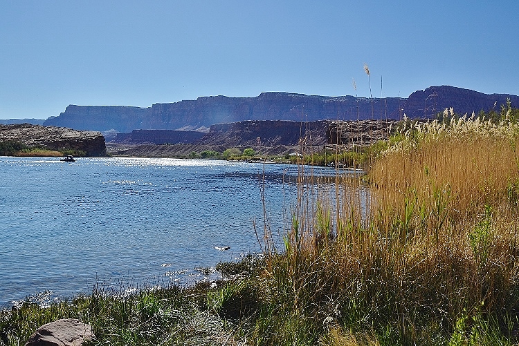 The Colorado River at Lees Ferry